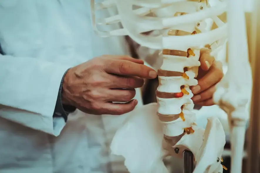 Osteopath erklärt Skelett